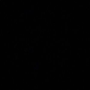 Meet your Posher, Sonja